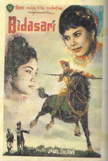 Poster de la película Bidasari