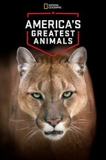 Poster de la película America's Greatest Animals