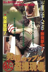 Poster de la película Horny Couple: Secret Voyeurism