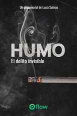 Poster de la película Humo