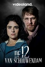 Poster de la serie De 12 van Schouwendam