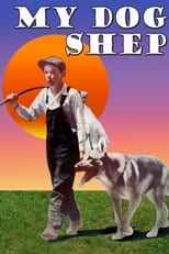 Poster de la película My Dog Shep