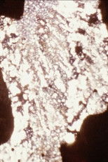 Poster de la película The Visible and Invisible of a Body Under Tension