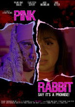 Poster de la película Pink Rabbit