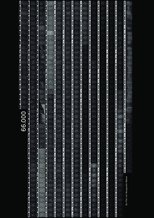 Poster de la película 66000