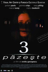 Poster de la película 3 păzește