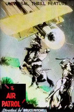 Poster de la película The Air Patrol
