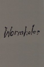 Poster de la película Wormholes