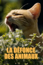 Poster de la película La défonce des animaux