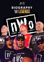 Poster de la película Biography: nWo