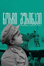 Poster de la película Gogi - The Young Pilot