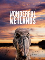 Poster de la película Wonderful Wetlands