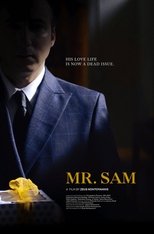 Poster de la película Mr. Sam