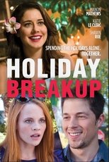 Poster de la película Holiday Breakup