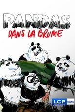 Pandas dans la brume