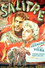 Poster de la película Salitre