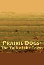 Poster de la película Prairie Dogs: Talk of the Town