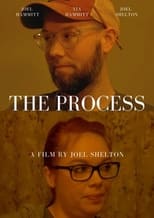 Poster de la película The Process