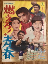 Poster de la película The Flame of Youth