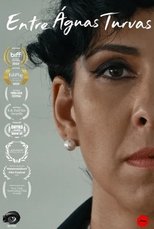 Poster de la película Entre Águas Turvas