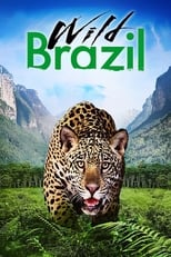 Poster de la película Wild Brazil