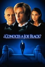 Poster de la película ¿Conoces a Joe Black?