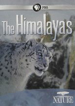 Poster de la película The Himalayas
