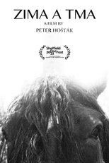 Poster de la película Cold and Dark