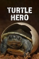 Poster de la película Turtle Hero