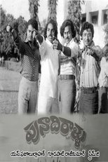 Poster de la película Punadhirallu