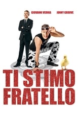 Poster de la película Ti stimo fratello