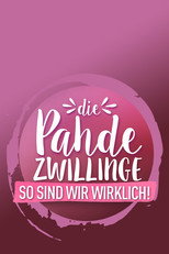 Poster de la película Die Pahde-Zwillinge