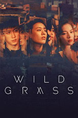 Poster de la película Wild Grass