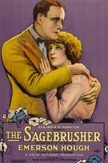 Poster de la película The Sagebrusher