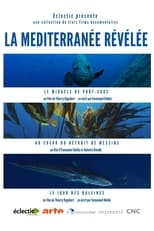 Poster de la serie La Méditerranée révélée