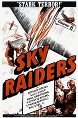 Poster de la película Sky Raiders