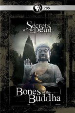 Poster de la película Bones of the Buddha