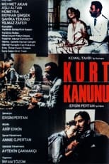 Poster de la película Kurt Kanunu