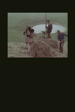 Poster de la película La montagna del sole