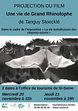 Poster de la película The Life of a Greater Horseshoe Bat