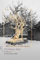 Poster de la película Château Noir
