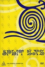 Poster de la película Split Enz