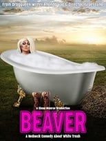 Poster de la película Beaver