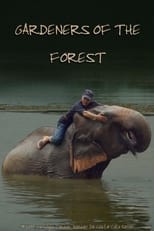 Poster de la película Gardeners of the Forest