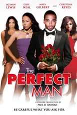 Poster de la película The Perfect Man