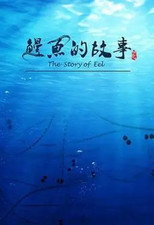 Poster de la serie 鳗鱼的故事