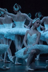 Poster de la película Swan Lake - The Australian Ballet