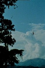 Poster de la película Ether