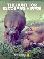 Poster de la película The Hunt for Escobar's Hippos
