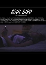 Poster de la película Soul Bird